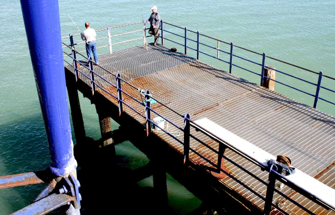 Anglers on Eastbourne pier