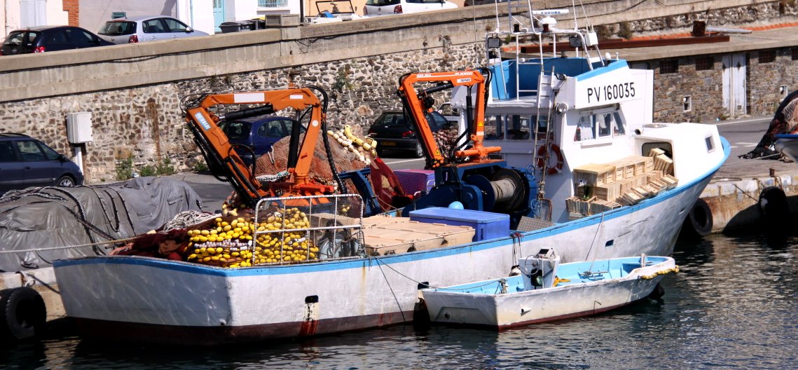 A French sardine seiner in port