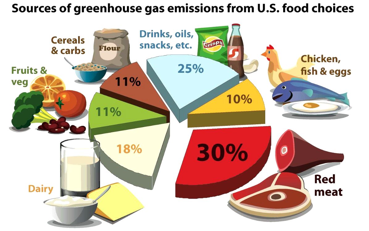 Carbon Footprint - Dining